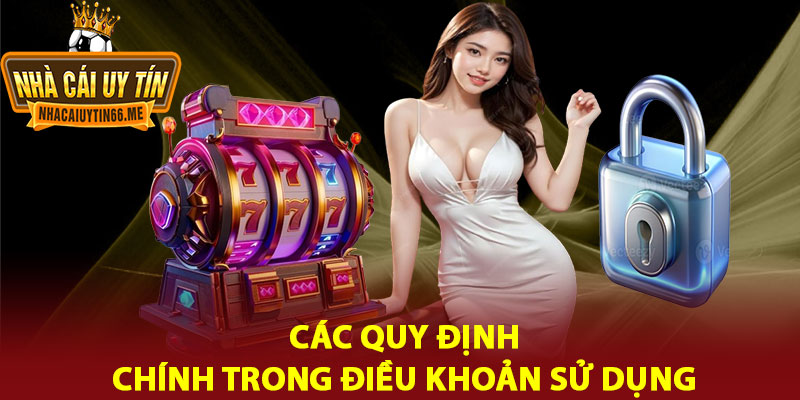 Điều Khoản Sử Dụng