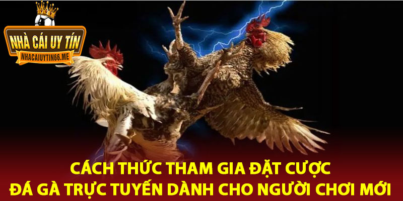 Đá gà online