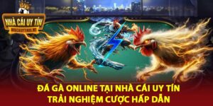 Đá Gà Online