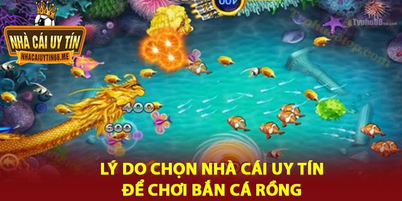bắn cá rồng