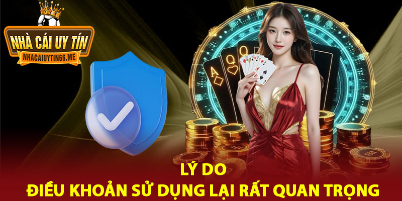 Điều Khoản Sử Dụng