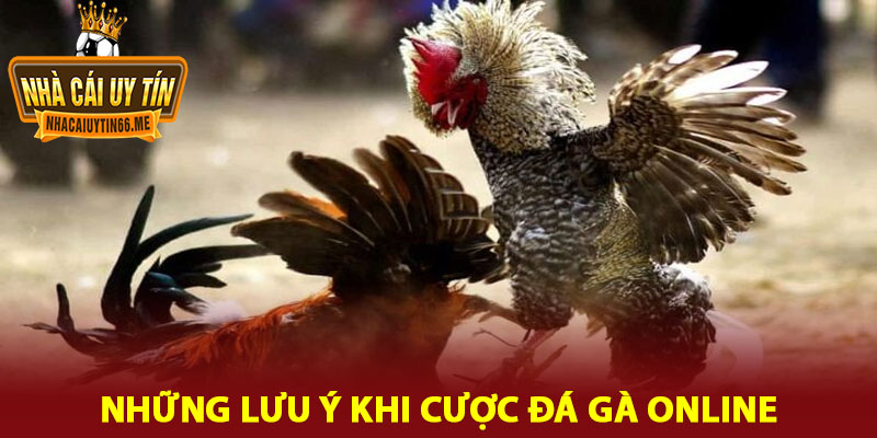 đá gà online