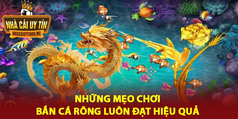 bắn cá rông