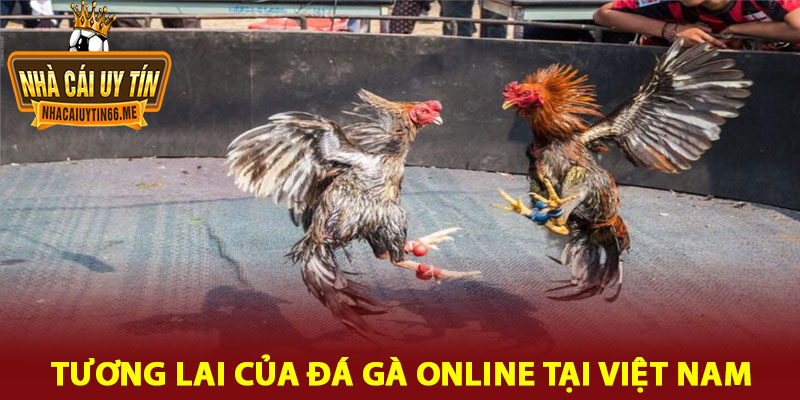 đá gà online